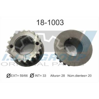 Roue dentée, vilebrequin IJS GROUP [18-1003]