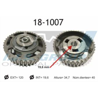 Pignon, pompe d'injection IJS GROUP [18-1007]