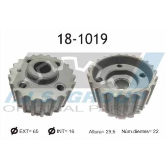Roue dentée, vilebrequin IJS GROUP 18-1019 pour BMW Série 3 1.9 TDI - 110cv