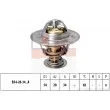 EPS 1.880.218S - Thermostat d'eau