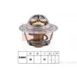 EPS 1.880.374S - Thermostat d'eau
