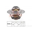 EPS 1.880.547S - Thermostat d'eau