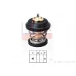EPS 1.880.743S - Thermostat d'eau