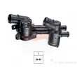 Thermostat d'eau EPS [1.880.773]