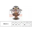 EPS 1.880.831S - Thermostat d'eau
