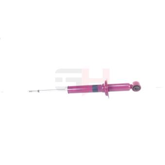 Jeu de 2 amortisseurs arrière GH OEM 5531139800