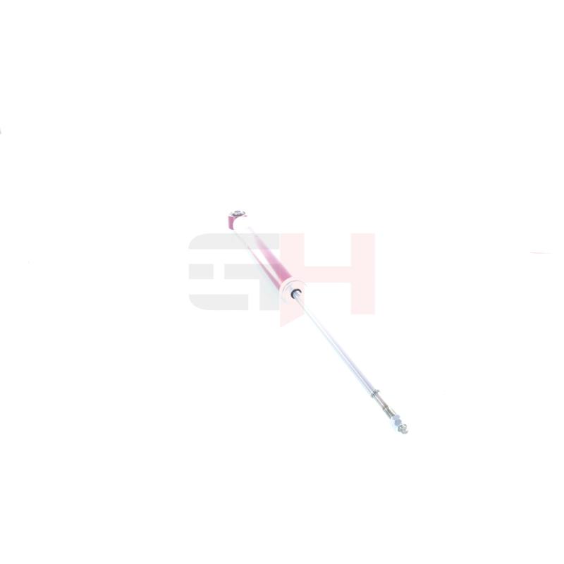 Jeu de 2 amortisseurs arrière GH GH+333997 - Visuel 1