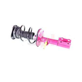 Jambe de suspension GH OEM 4860902120