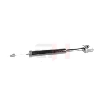 Jeu de 2 amortisseurs arrière GH OEM 50520186