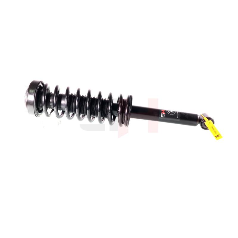 Jambe de suspension GH GH-331598C02 - Visuel 1