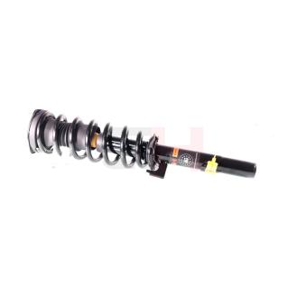 Jambe de suspension GH OEM af1079lb