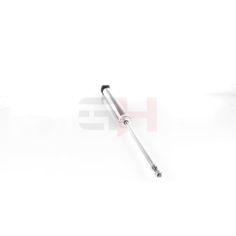 Jeu de 2 amortisseurs arrière GH GH-334325 - Visuel 1