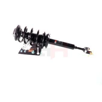 Jambe de suspension GH OEM N10241202