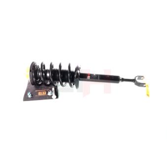 Jambe de suspension GH OEM N10241202