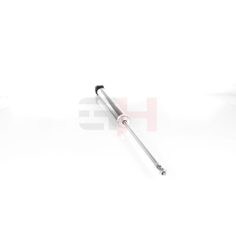 Jeu de 2 amortisseurs arrière GH GH-334778 - Visuel 1