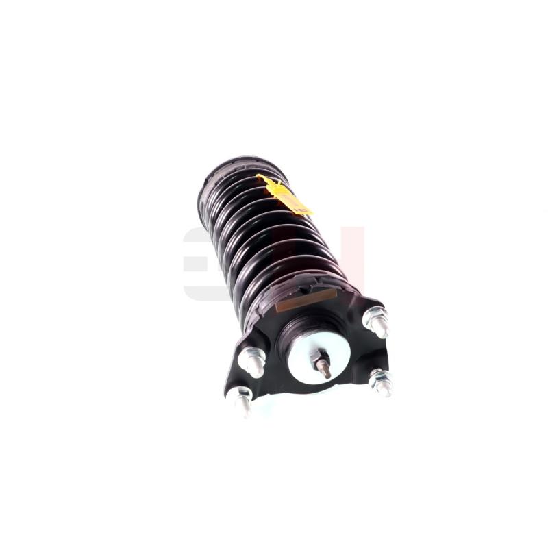 Jambe de suspension GH GH-339379C03 - Visuel 1