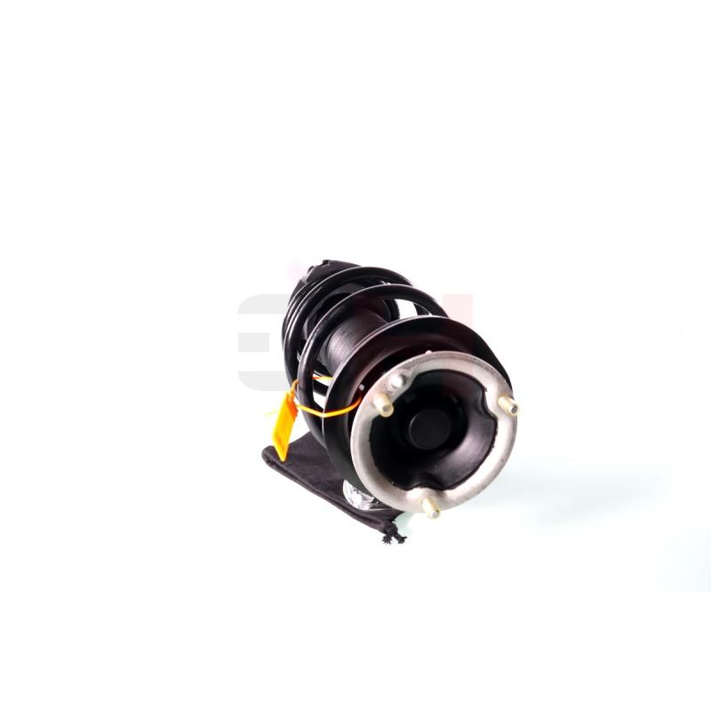 Jambe de suspension GH GH-351560C04 - Visuel 1