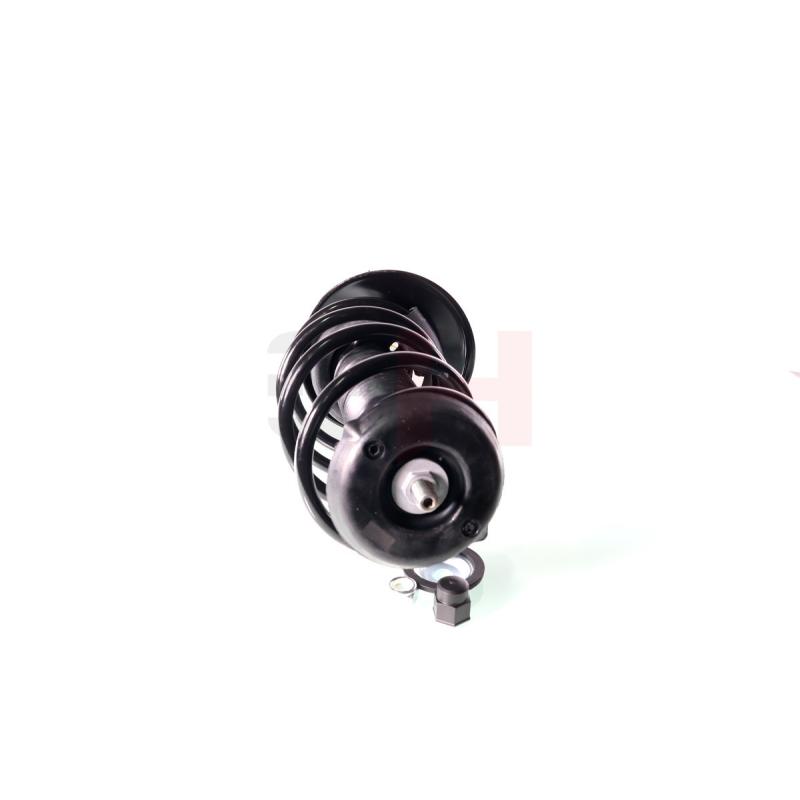 Jambe de suspension GH GH-351905C05A - Visuel 2