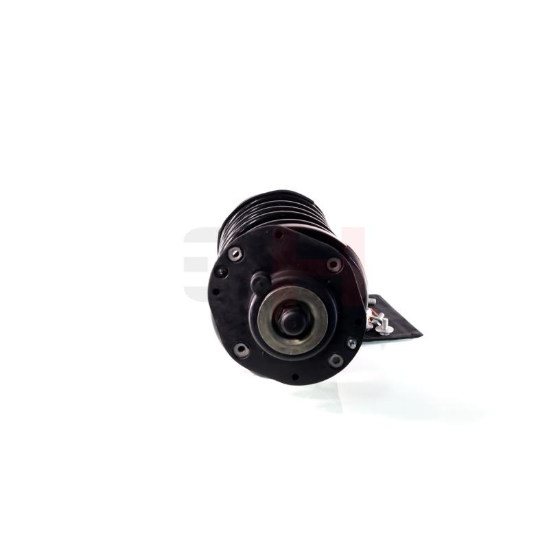Jambe de suspension GH GH-351936C04 - Visuel 1