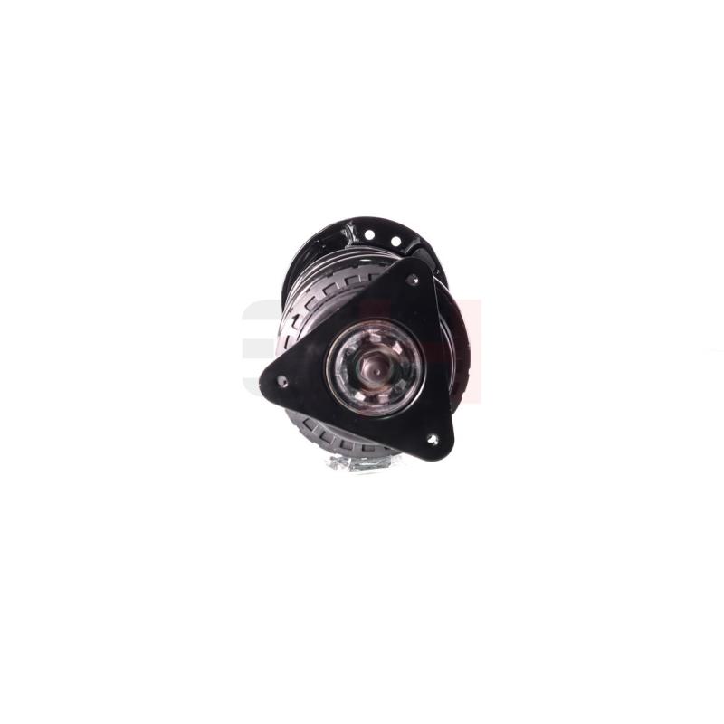Jambe de suspension GH GH-352293C02 - Visuel 1