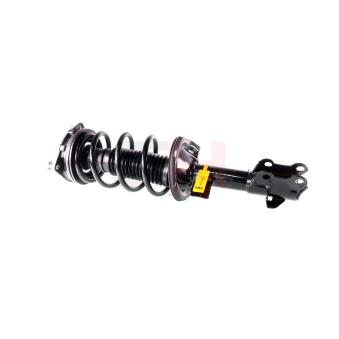 Jambe de suspension GH OEM 54325AX000