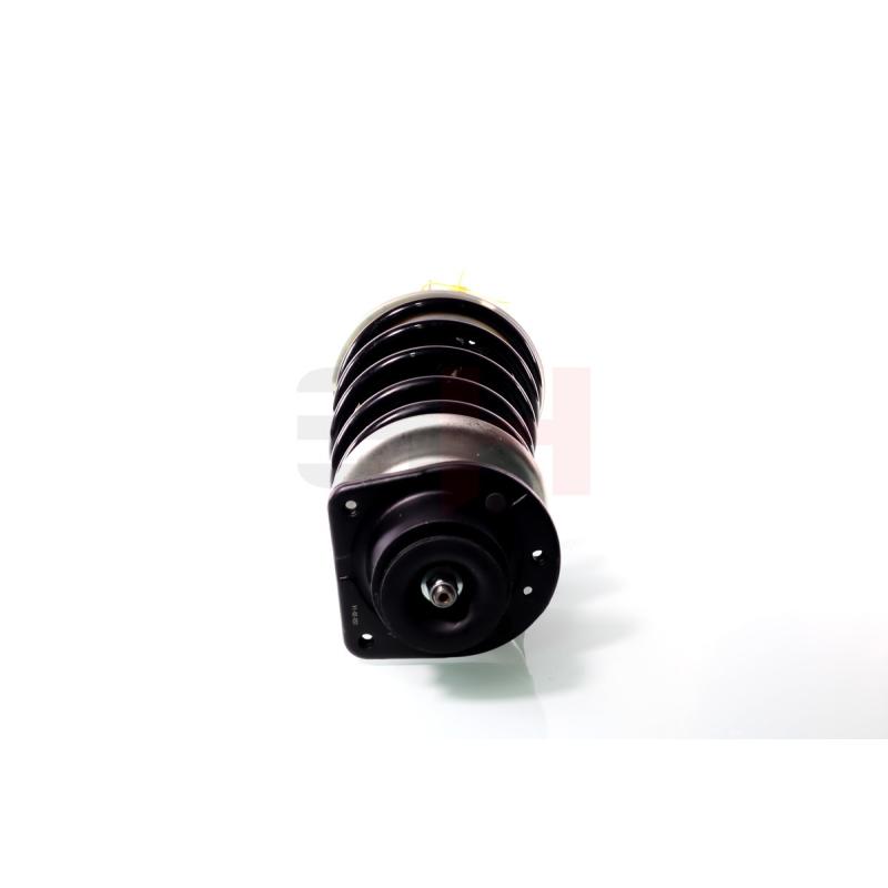 Jambe de suspension GH GH-352399C01 - Visuel 1