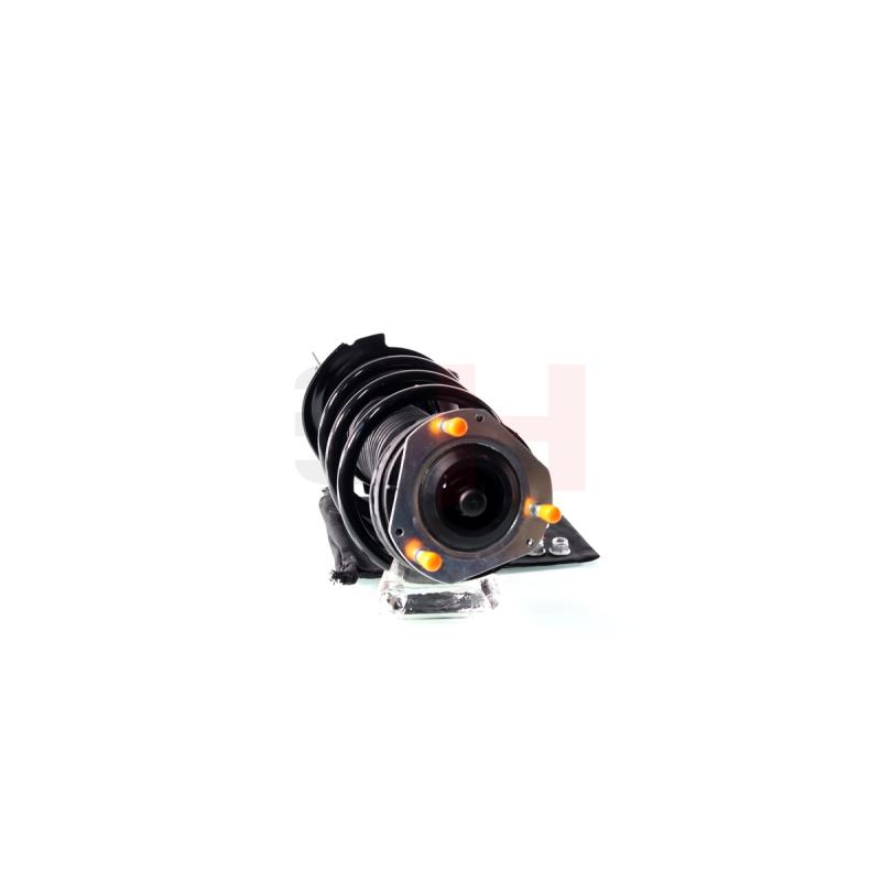 Jambe de suspension GH GH-352533C05 - Visuel 1