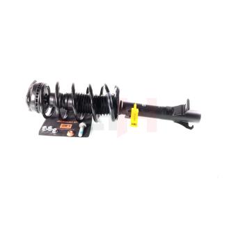 Jambe de suspension GH OEM 1146152 Jambe de suspension GH OEM 1146152
