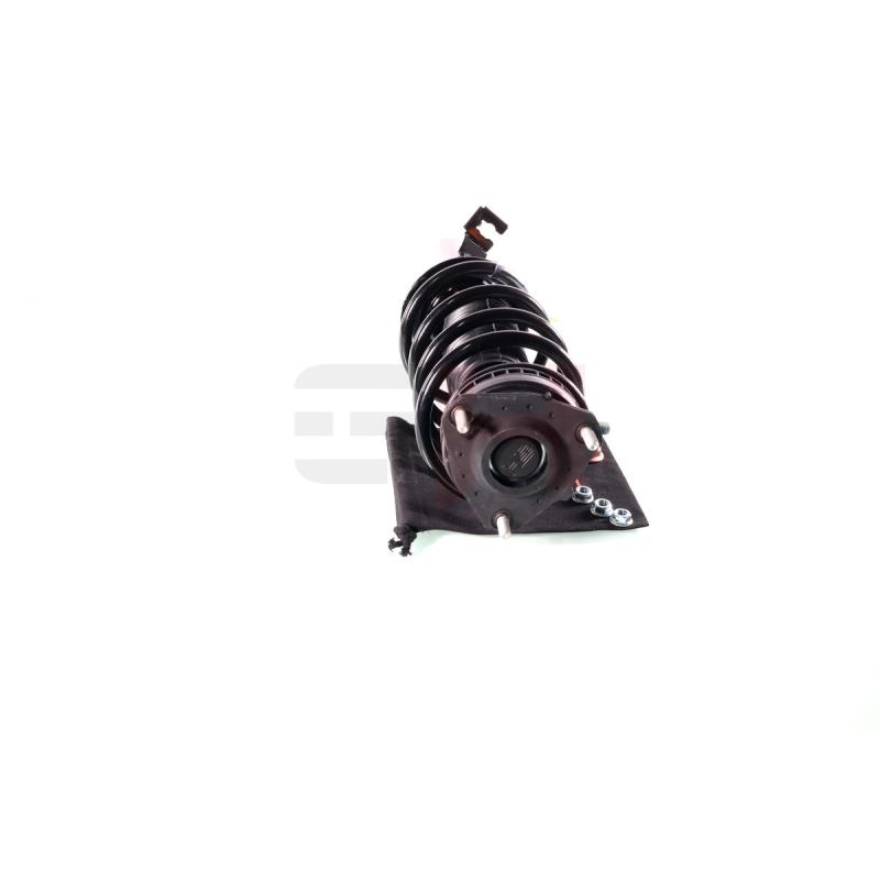 Jambe de suspension GH GH-352555C01 - Visuel 1