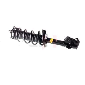 Jambe de suspension GH OEM 51401SWWE03