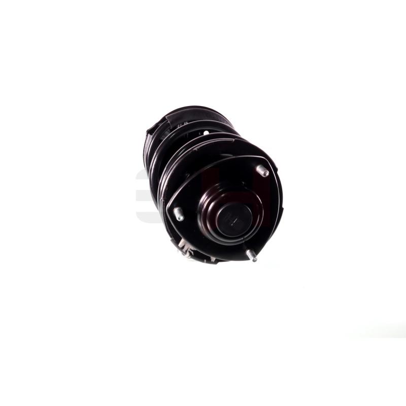Jambe de suspension GH GH-353051C02 - Visuel 2