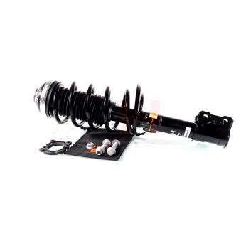 Jambe de suspension GH OEM 93183825