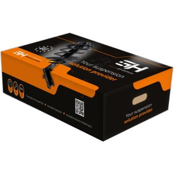 Jambe de suspension GH OEM 6001549183