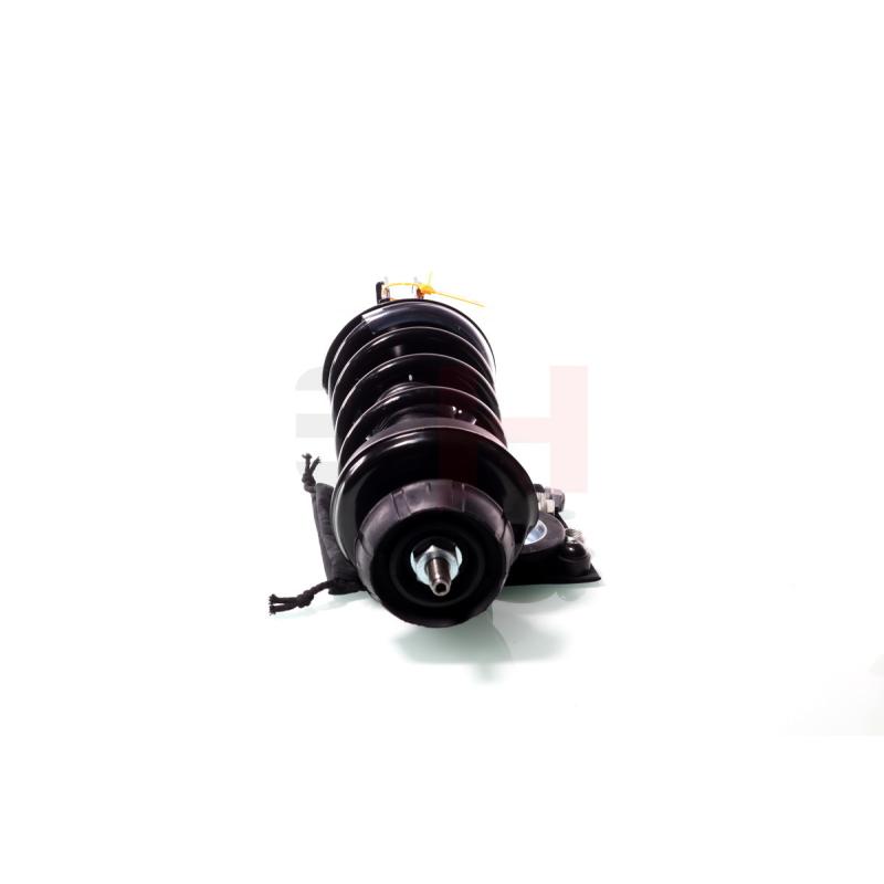 Jambe de suspension GH GH-353999C02 - Visuel 1