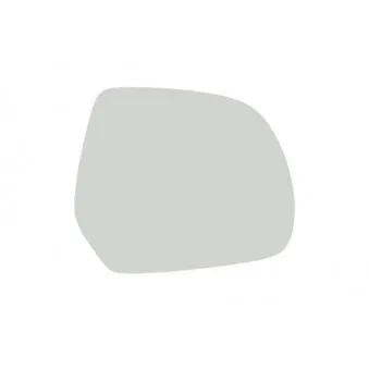 Verre de rétroviseur, rétroviseur extérieur BLIC 6102-02-6700396P