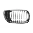BLIC 6502-07-0061994AP - Grille de radiateur avant droit 