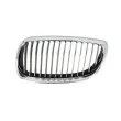 BLIC 6502-07-00629915P - Grille de radiateur avant gauche 