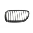 BLIC 6502-07-0062991BP - Grille de radiateur avant gauche 