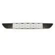 BLIC 6502-07-2030910P - Grille de ventilation, pare-chocs