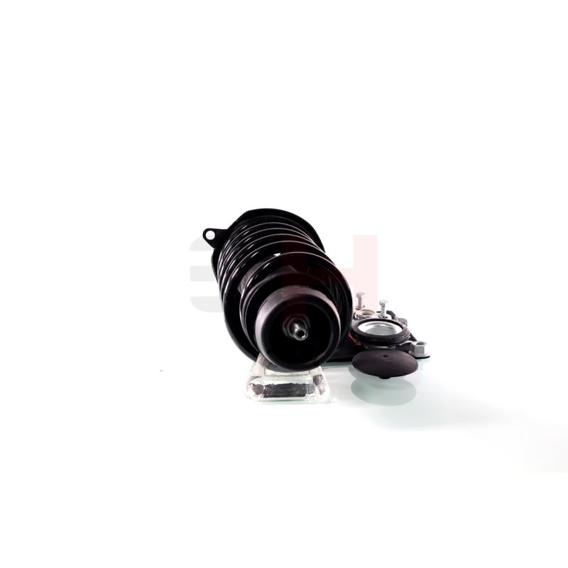 Jambe de suspension GH GH-354710C09 - Visuel 1