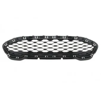 Grille de radiateur BLIC 6502-07-2566999P