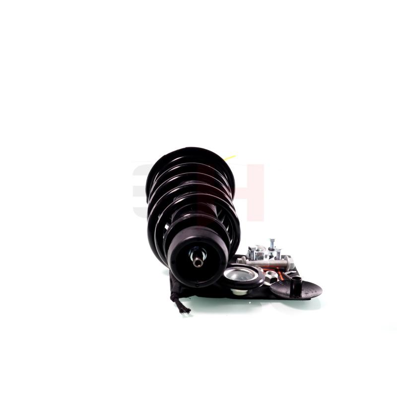 Jambe de suspension GH GH-354711C01 - Visuel 1