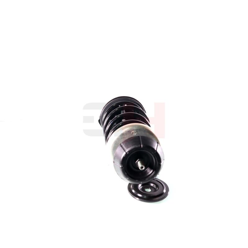 Jambe de suspension GH GH-355252C04 - Visuel 1