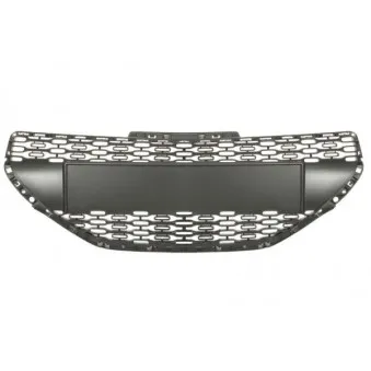 Grille de radiateur BLIC 6502-07-5509990P