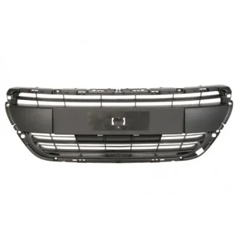 Grille de radiateur BLIC 6502-07-5509992Q
