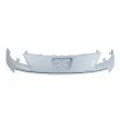 BLIC 6502-07-5562990Q - Grille de radiateur