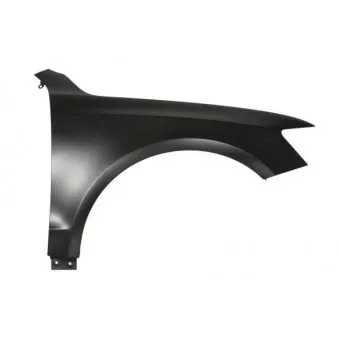 Aile avant droit BLIC 6504-04-0035312Q