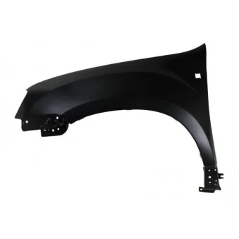 Aile avant gauche BLIC 6504-04-1305311P