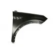 Aile avant droit BLIC [6504-04-2001314P]