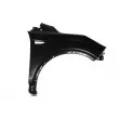 BLIC 6504-04-2579312Q - Aile avant droit 
